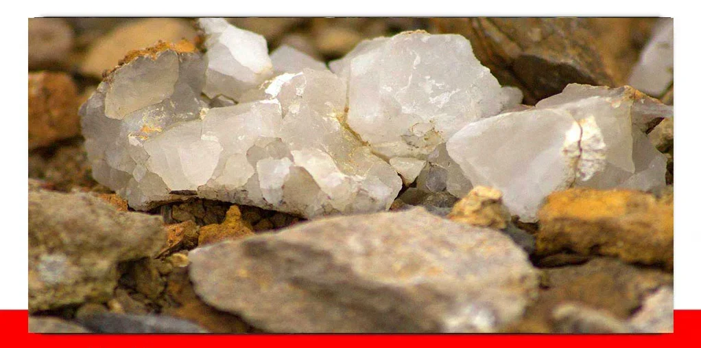 سیلیس خوراکی